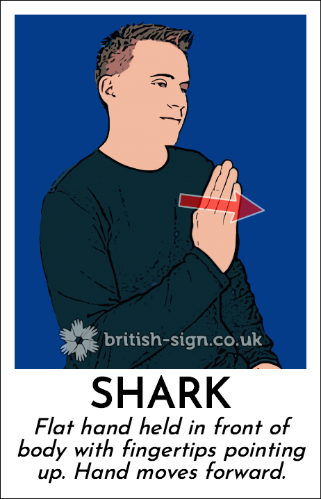 Shark: Flat hand held in front of body with fingertips pointing up.  Hand moves forward.
